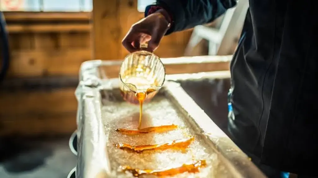 Dlaczego mieszkańcy Montrealu zawsze ruszają na Rive-Sud, gdy tylko zaczynają płynąć soki w drzewach