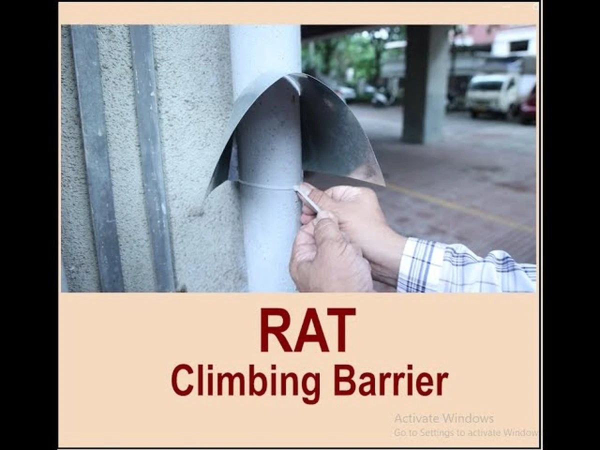 Dlaczego mieszkańcy via Tognazzi boją się otwierać okna na 3. piętrze - image 1