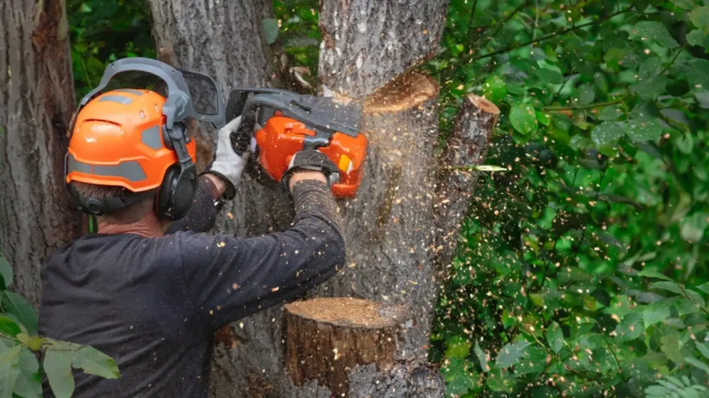 Dlaczego młodzi Polacy rezygnują z silników spalinowych w ogrodzie