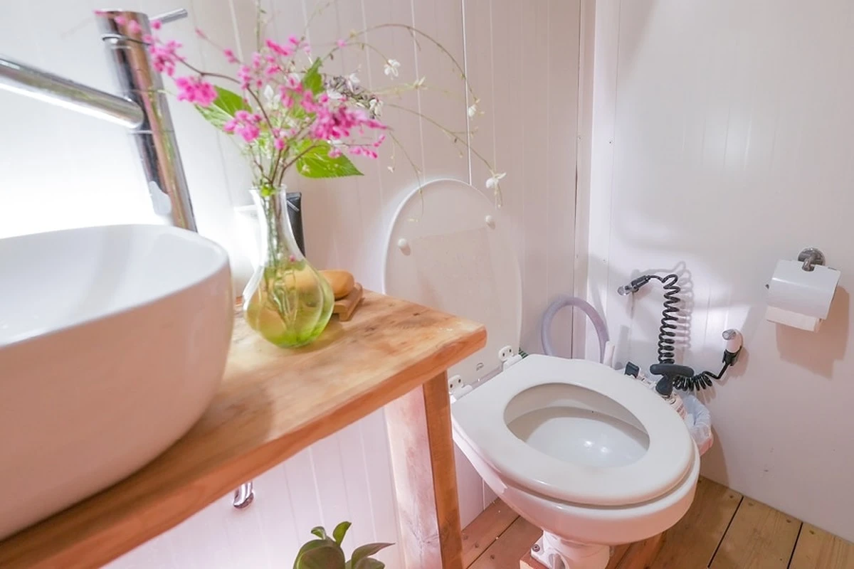 Dlaczego naukowcy z Kanady zastępują tradycyjne toalety siecią korzeni grzybów - image 1