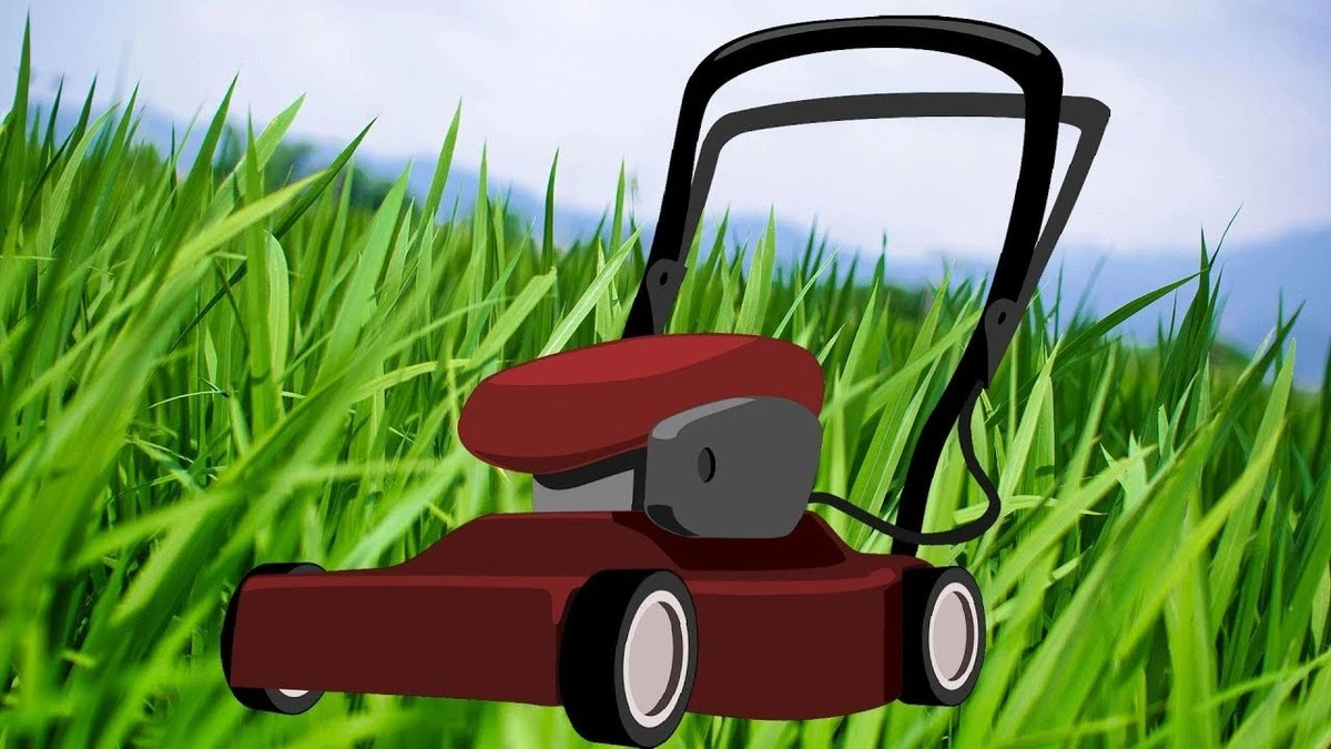 Dlaczego od 15 marca lepiej nie wyciągać kosiarki w południe - image 1