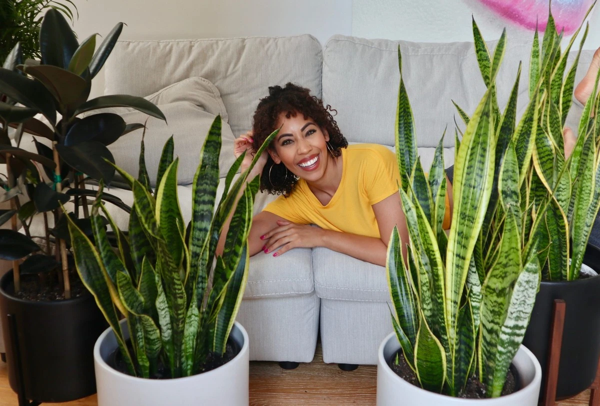 Dlaczego po czterdziestce warto postawić te trzy rośliny w sypialni - image 1