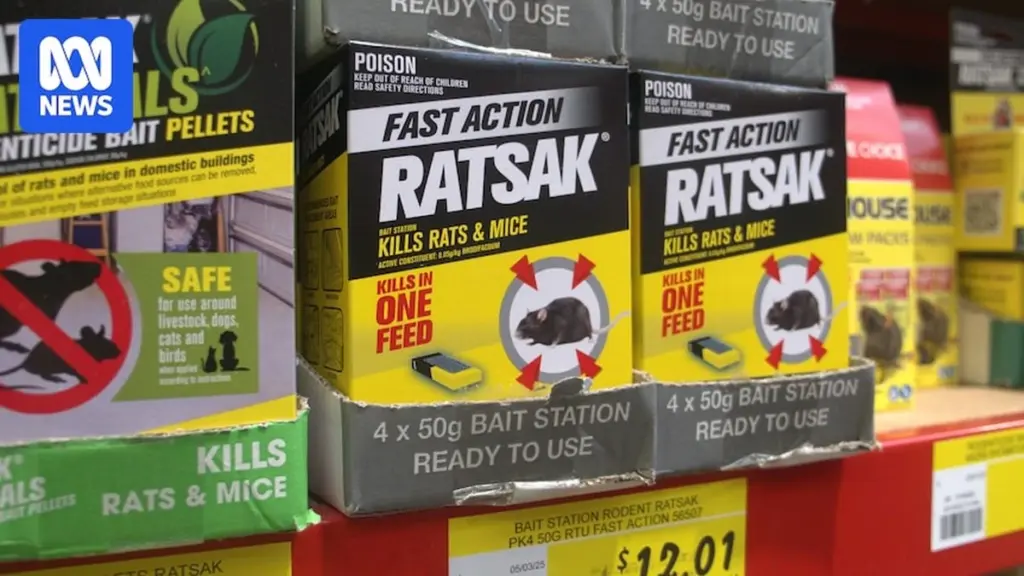 Dlaczego popularne trutki na szczury znikają z półek sklepowych