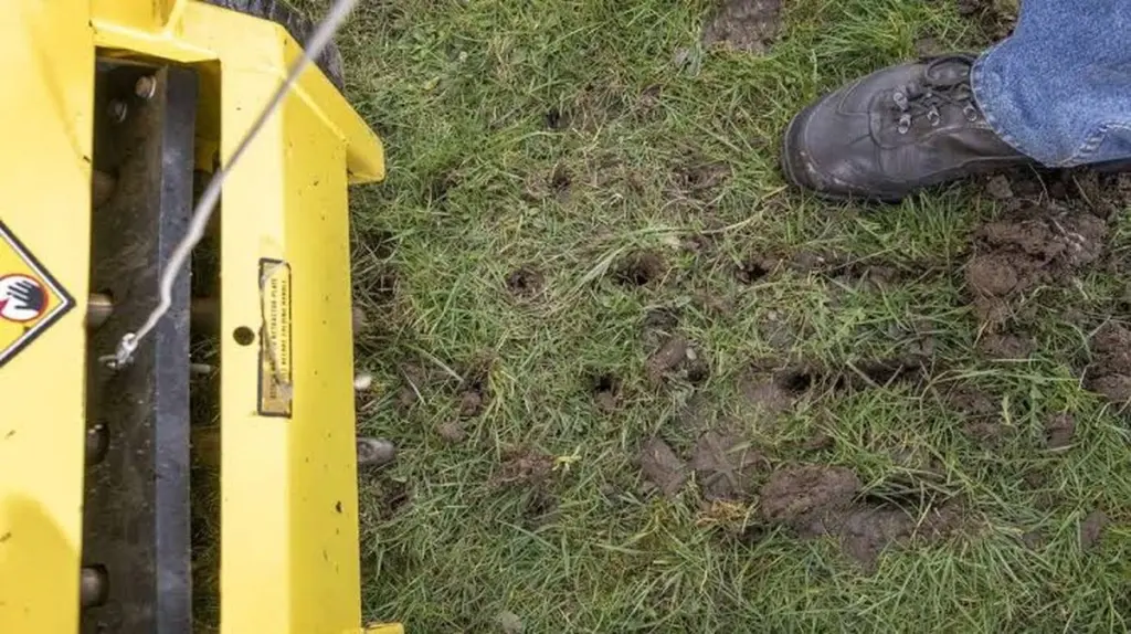 Dlaczego profesjonalni ogrodnicy nigdy nie dotykają wertykulatora w marcu