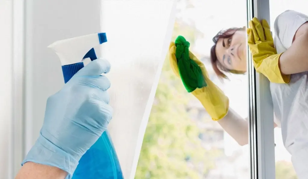 Dlaczego profesjonaliści myją okna w pochmurne dni