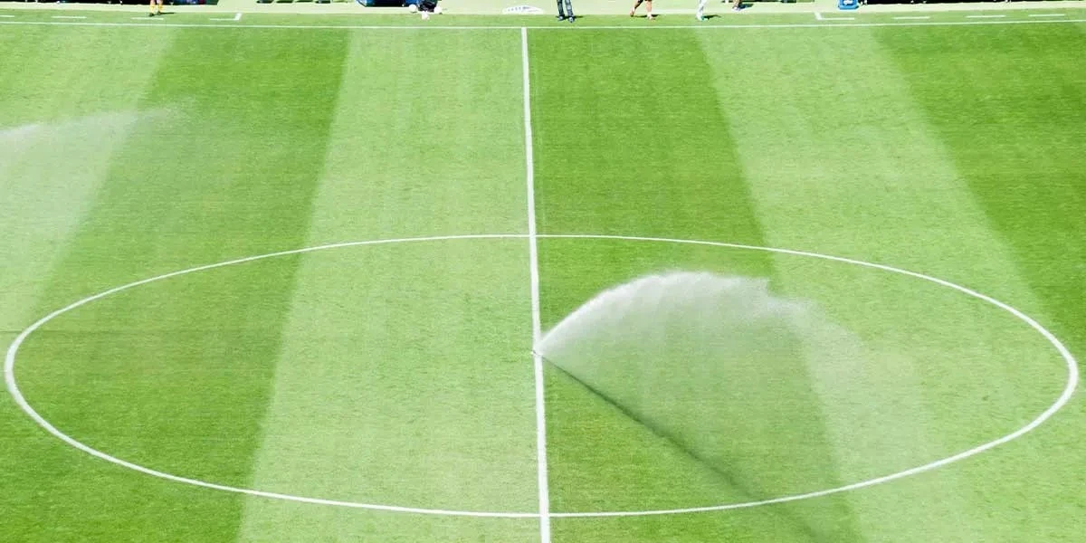 Dlaczego profesjonalne boiska są zielone nawet zimą? Sekret tkwi w hibridowych włóknach - image 1