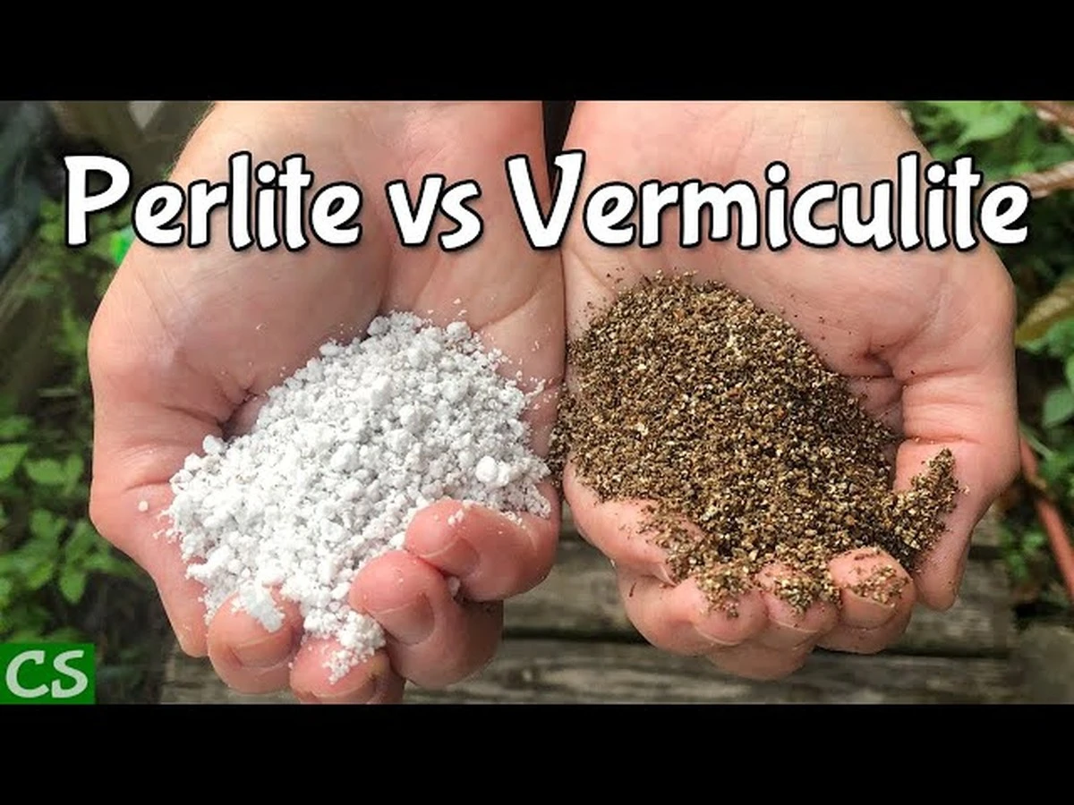 Dlaczego profesjonalni ogrodnicy zawsze wybierają białe granulki zamiast złocistych drobinek - image 1