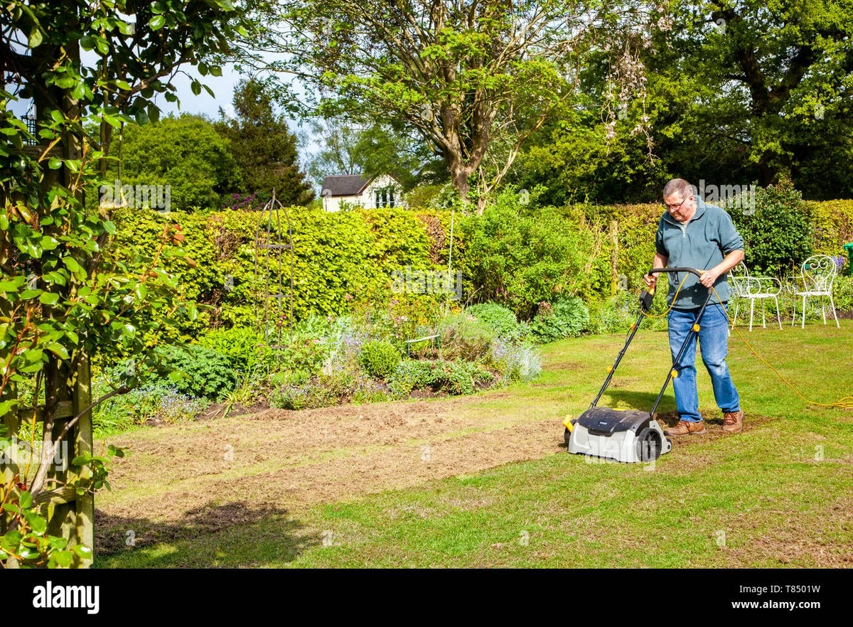 Dlaczego profesjonalni ogrodnicy nigdy nie używają wertykulatora w marcu - image 1
