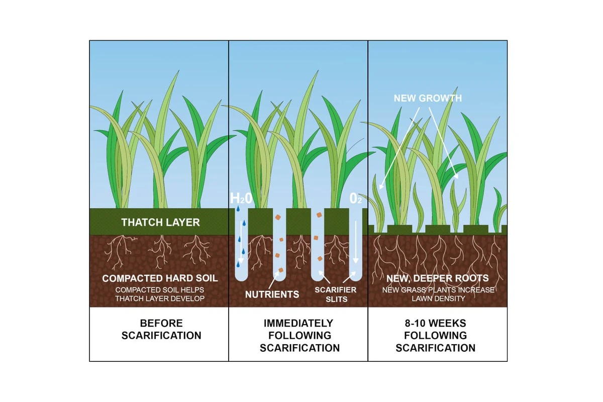 Dlaczego profesjonalni ogrodnicy zawsze wykonują nacięcia w darni na początku kwietnia - image 1