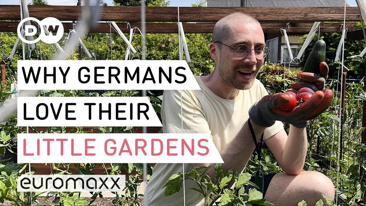 Dlaczego przycinanie żywopłotu w Bremie może kosztować 25 000 euro - image 1