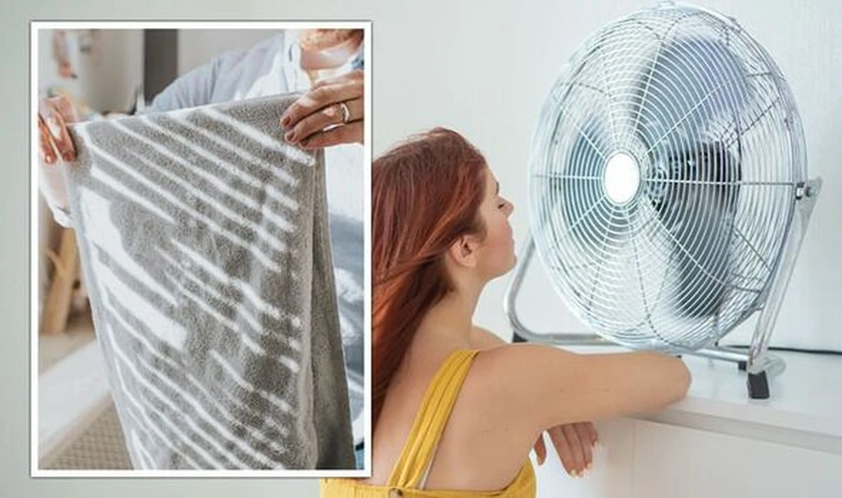 Dlaczego rano warto zasłonić okna, czyli jak schłodzić dom bez klimatyzacji - image 1