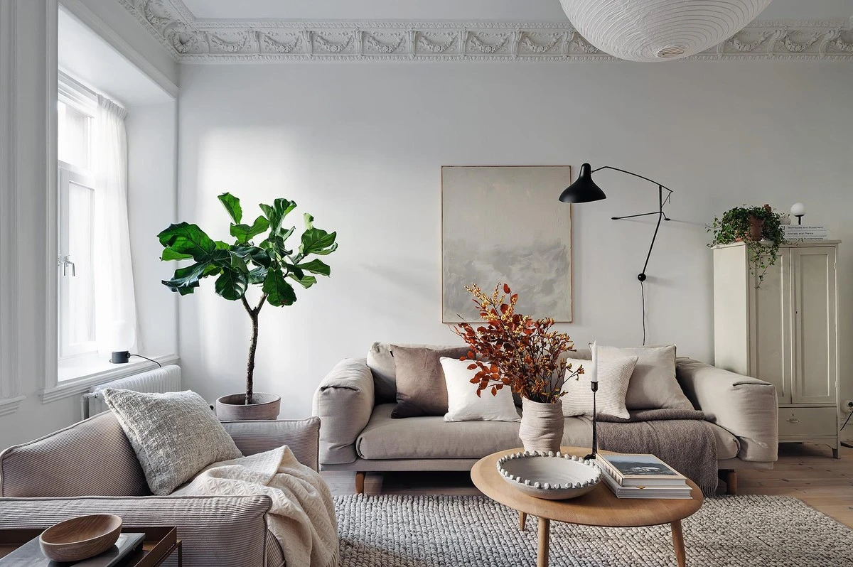 Dlaczego Sofi Martínez ustawiła ogromną palmę tuż obok telewizora - image 1