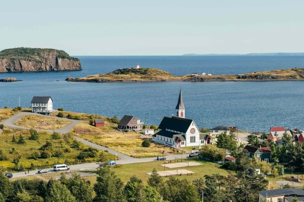 Dlaczego szefowie kuchni na Nowej Fundlandii coraz częściej serwują liście ostrygowe i pędy świerku