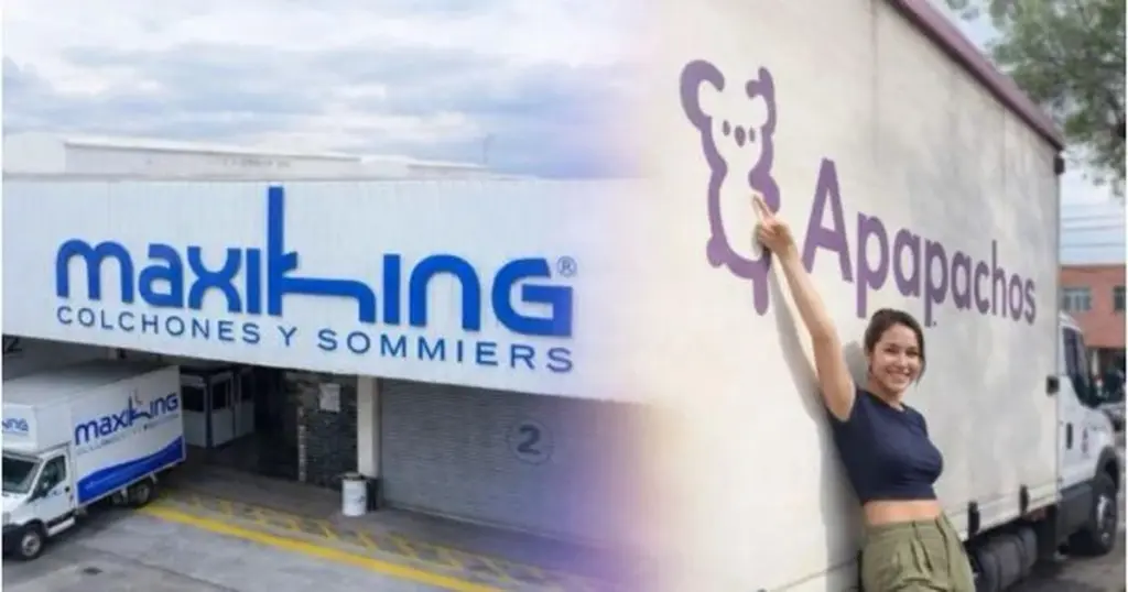 Dlaczego warto odwiedzić showroom Apapachos w czwartkowe poranki marca