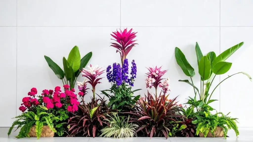 Dlaczego warto sadzić kilka roślin w jednej doniczce