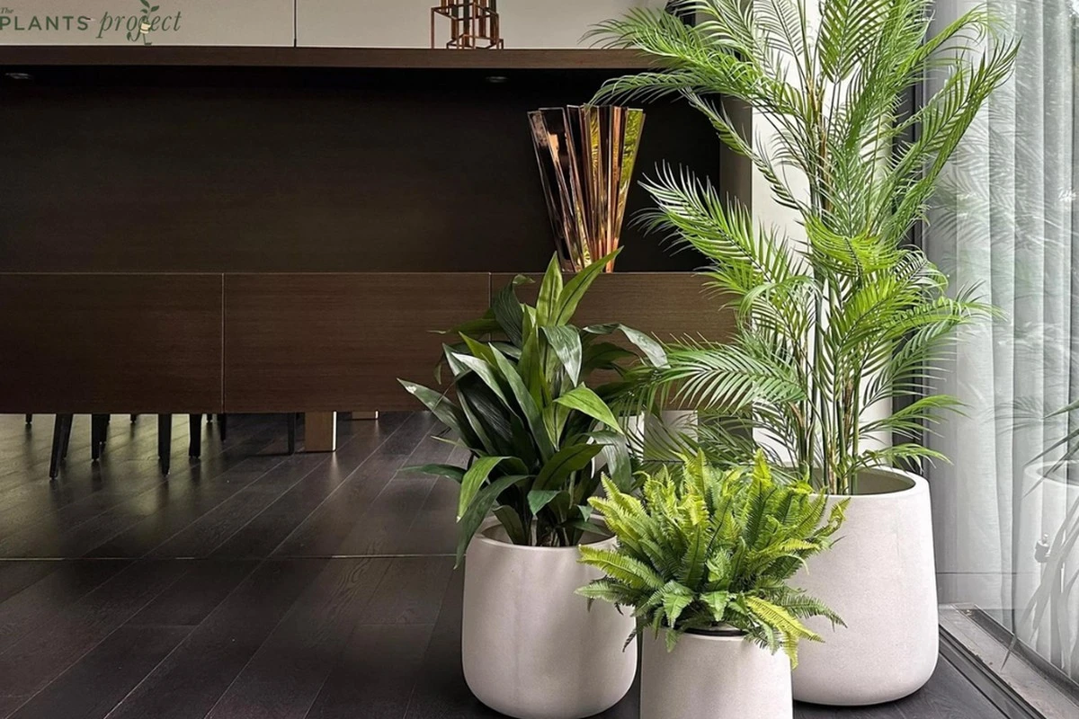 Dlaczego warto sadzić kilka roślin w jednej doniczce - image 1