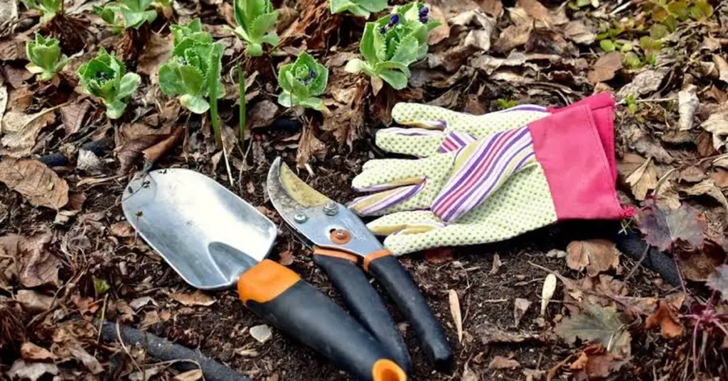 Dlaczego warto schować sekator: 3 powody, by nie sprzątać ogrodu w marcu