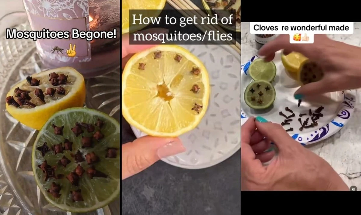 Dlaczego warto wbić kilka goździków w połówkę cytryny przed snem - image 1