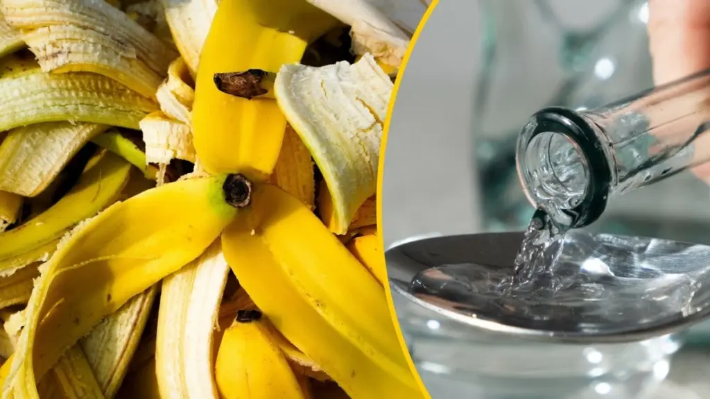 Dlaczego warto wrzucić skórki z bananów do słoika z octem