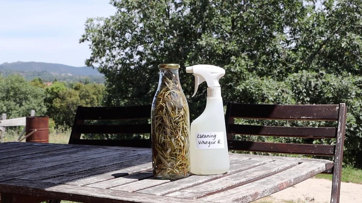 Dlaczego warto wrzucić gałązkę rozmarynu do butelki z octem - image 1