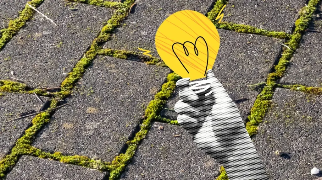 Dlaczego warto wylewać colę na szczeliny w tarasie