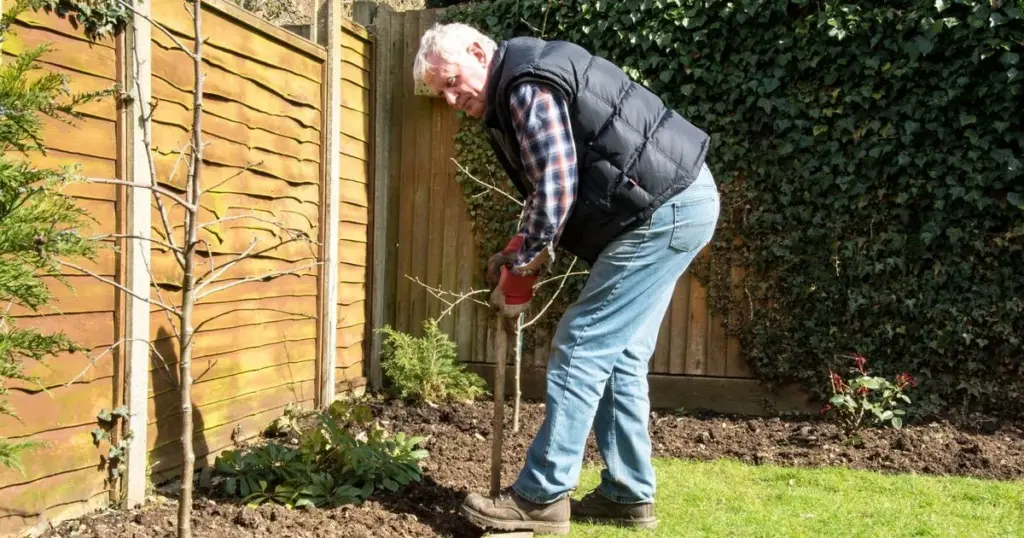 Dlaczego warto wyciąć mały otwór w płocie przed końcem marca