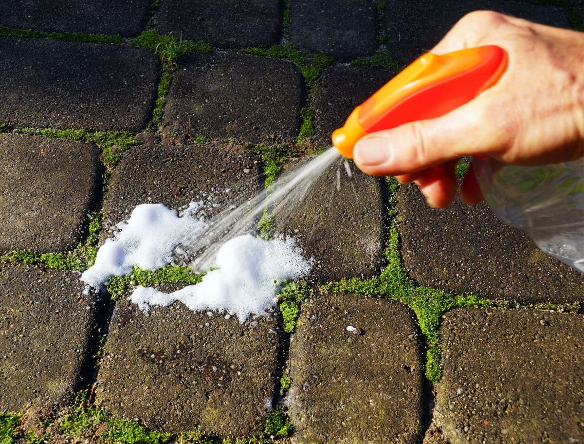 Dlaczego warto wylać butelkę octu na taras po zimie - image 1