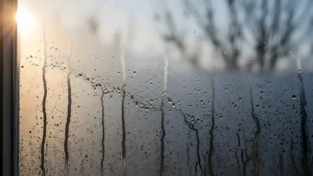 Dlaczego warto zostawić kroplę płynu do naczyń na szybie przed snem