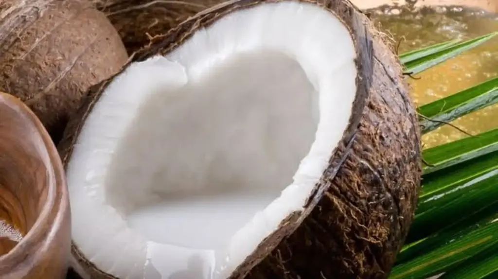 Dlaczego warto zwilżyć skorupę kokosa wodą przed jego rozbiciem