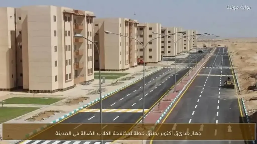 Dlaczego w Hadayek October coraz częściej widzisz psy z kolczykiem w uchu