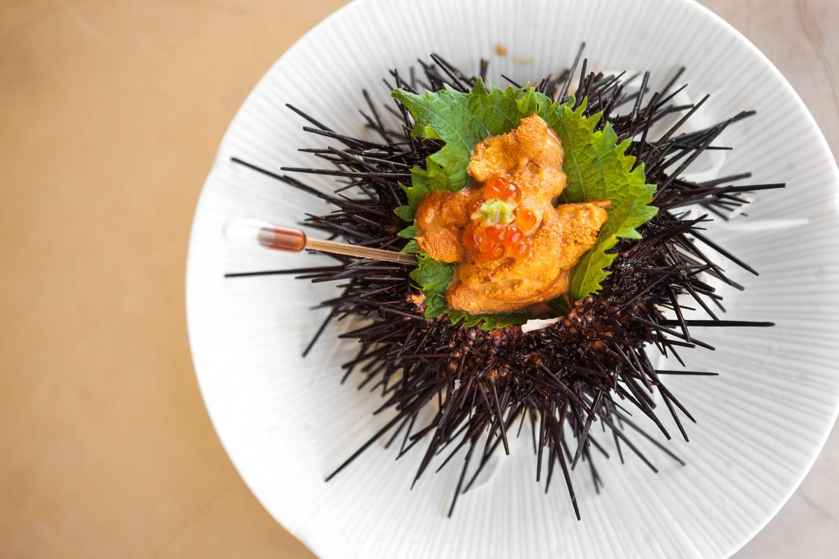 Dziesięć jeżowców i kieliszek białego wina w słońcu czyli dlaczego warto odwiedzić południe w marcu - image 1